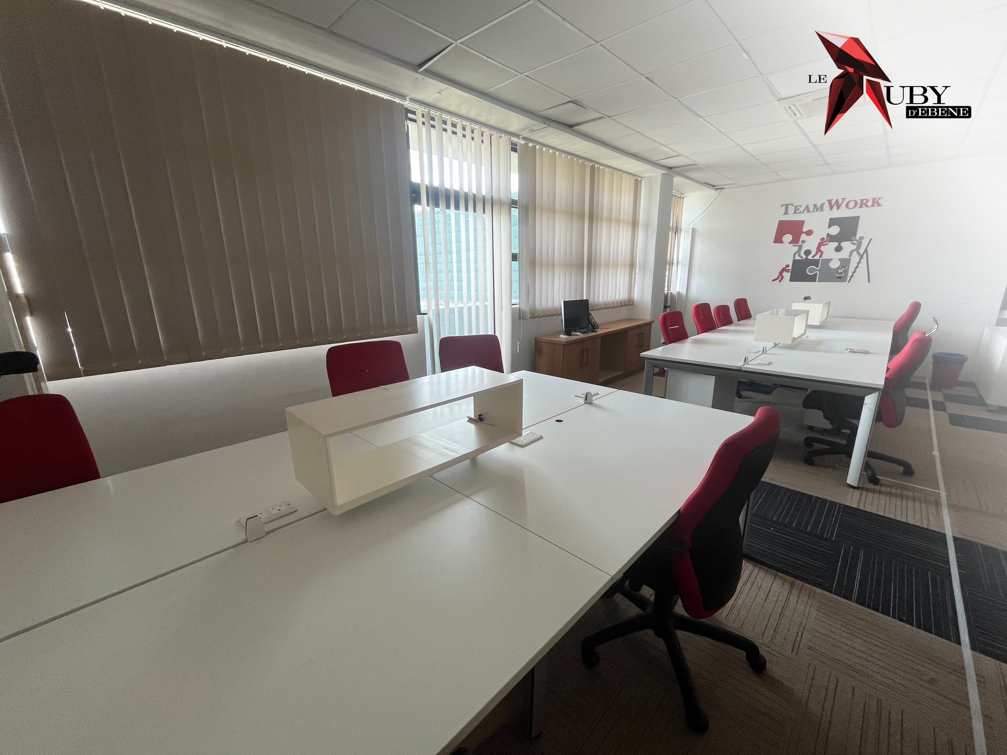 474798260_1131857932272661_531971543263819684_n (1)